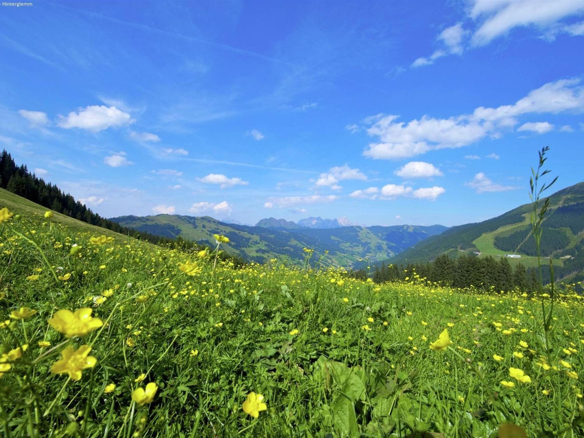 Large Chalet Apartment In Saalbach Hinterglemm Exteriér fotografie